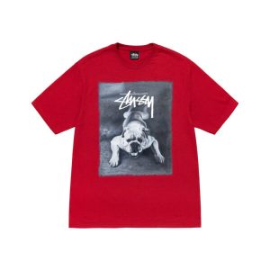 BULLDOG Stussy TEE RED