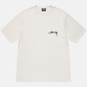 Archnid Pigment Dyed Stussy T Shirt